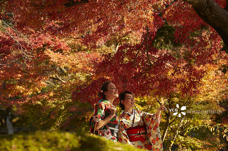 女性 女 女人图片素材