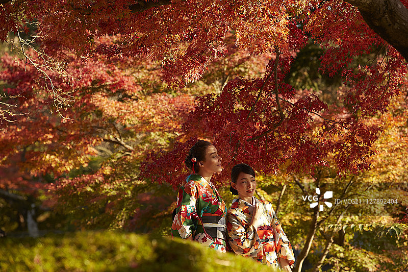 女性 女 女人图片素材