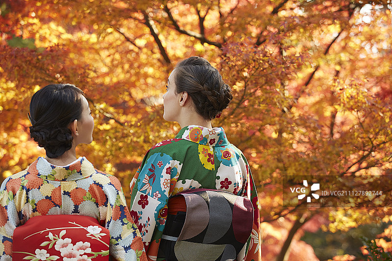 女性 女 女人图片素材