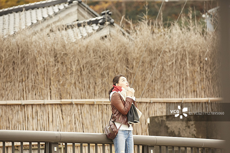 女性 女 女人图片素材