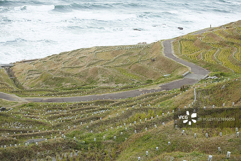 稻田 梯田图片素材