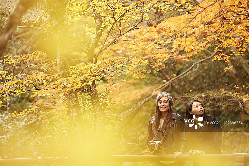 女性 女 女人图片素材