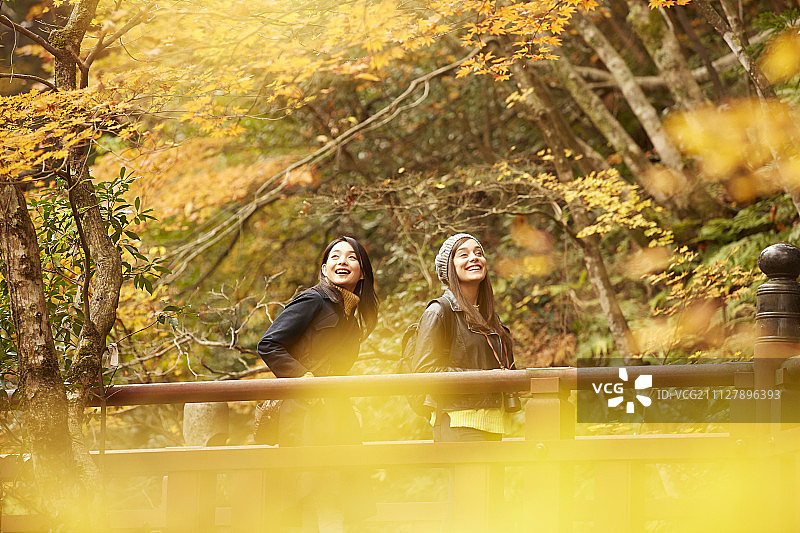女性 女 女人图片素材