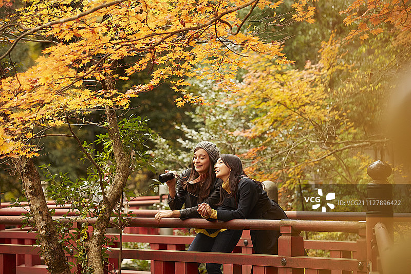 女性 女 女人图片素材
