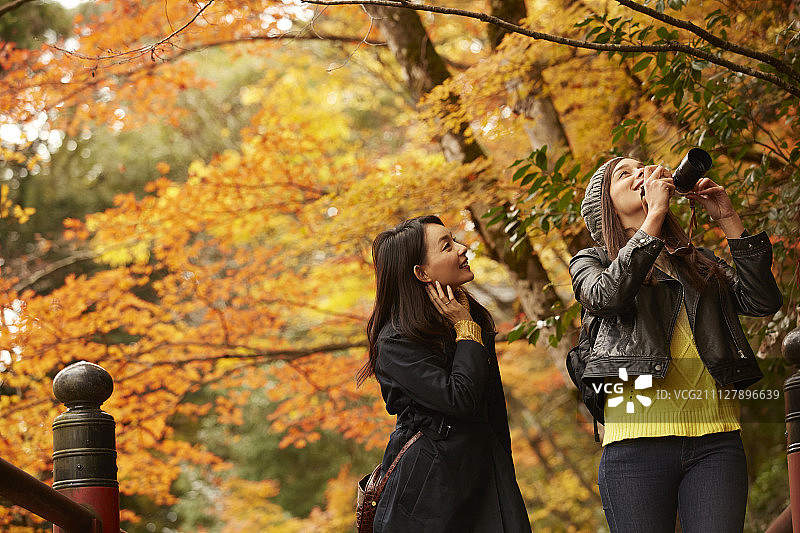 女性 女 女人图片素材