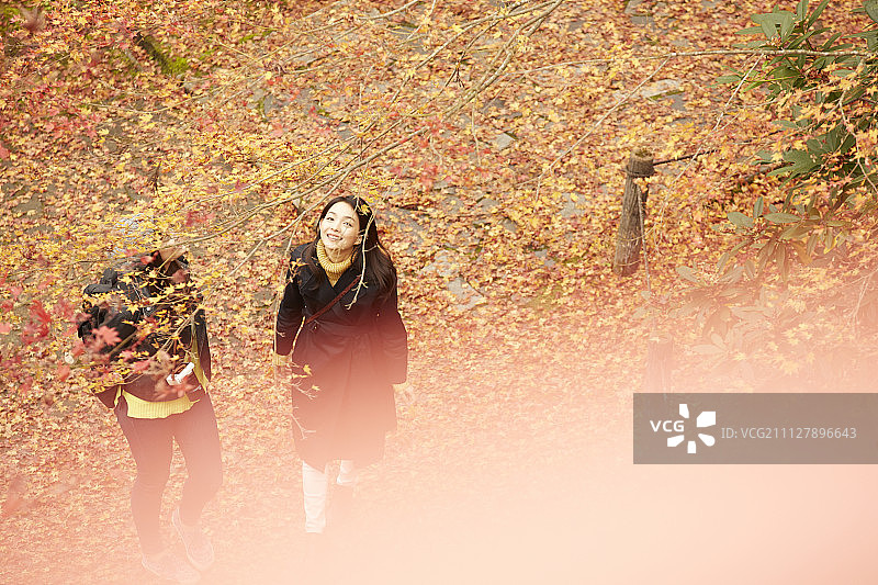 女性 女 女人图片素材