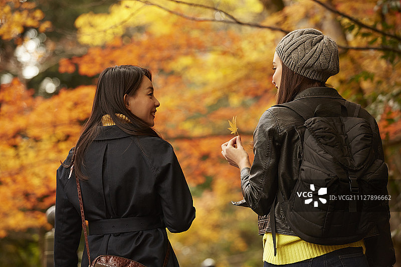 女性 女 女人图片素材