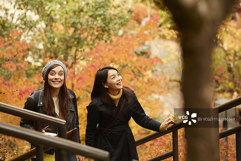 女性 女 女人图片素材