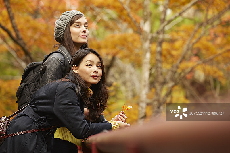 女性 女 女人图片素材
