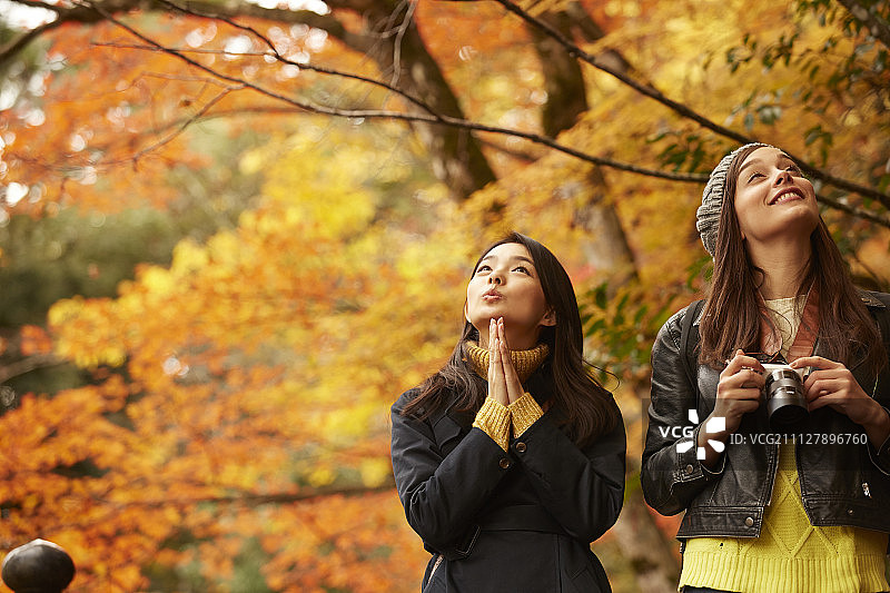 女性 女 女人图片素材