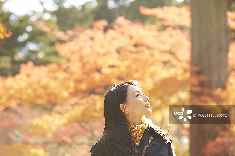 女性 女 女人图片素材