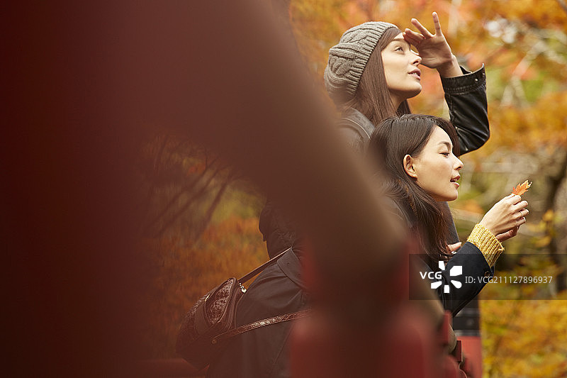 女性 女 女人图片素材