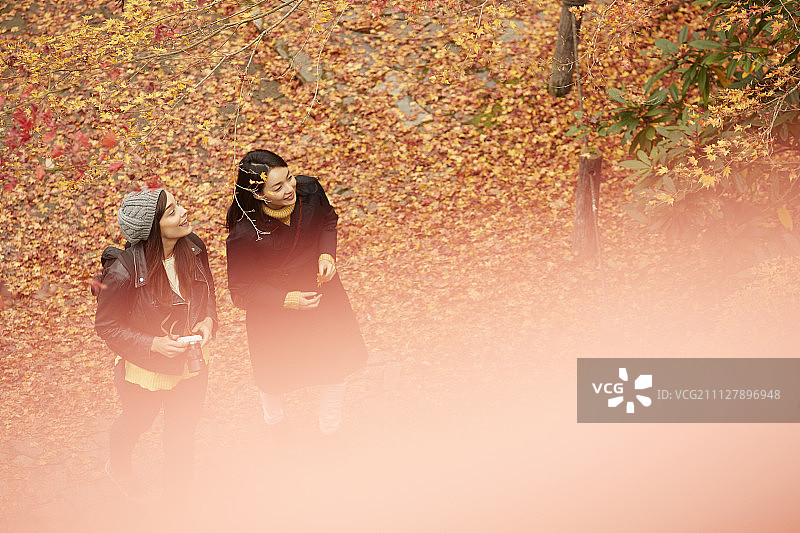 女性 女 女人图片素材