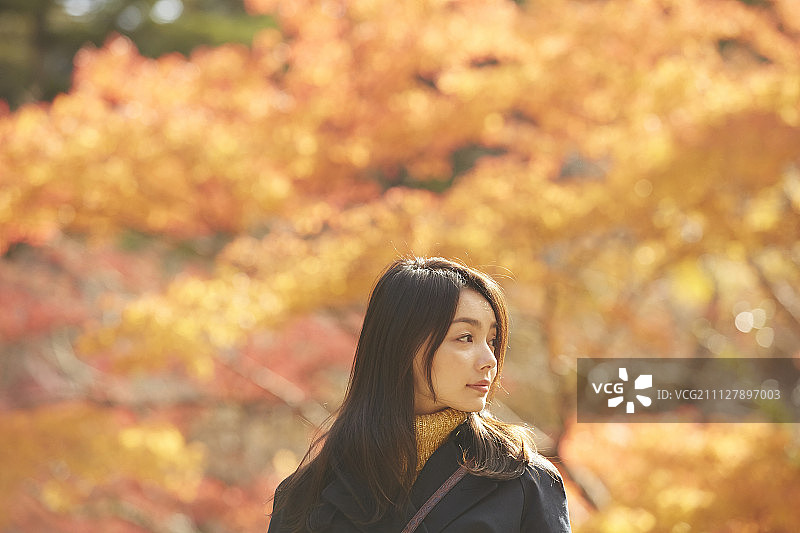 女性 女 女人图片素材