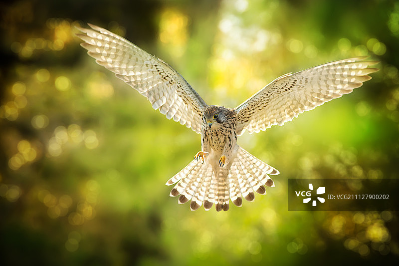 中国台湾基隆图片素材