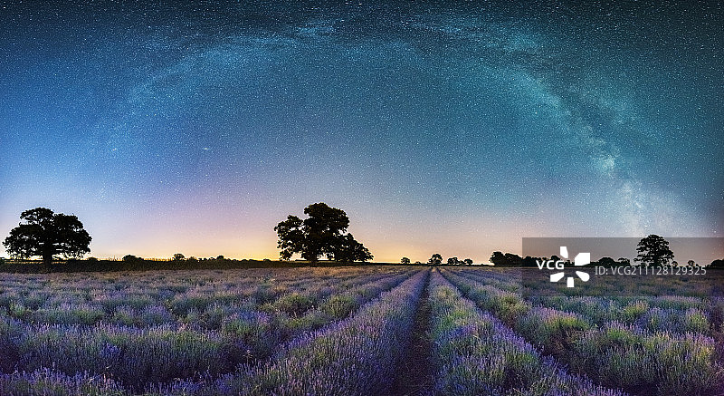 薰衣草田与银河图片素材