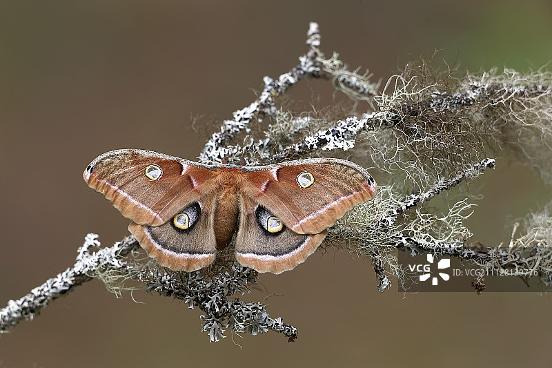 Denis Dumoulin摄影作品图片素材