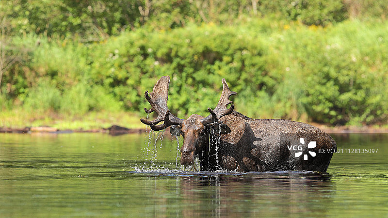 雄伟的图片素材