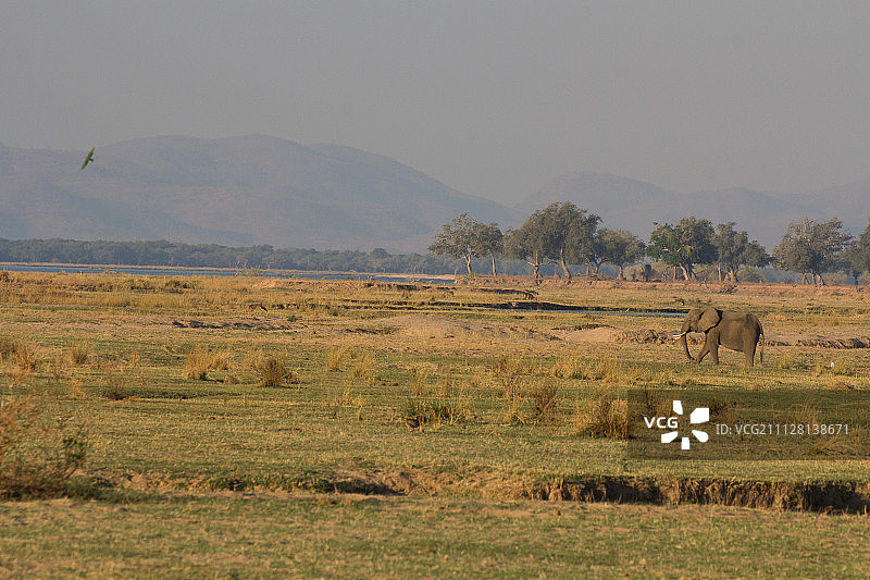 非洲风光图片素材