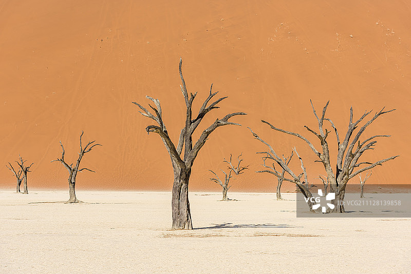 死亡谷图片素材