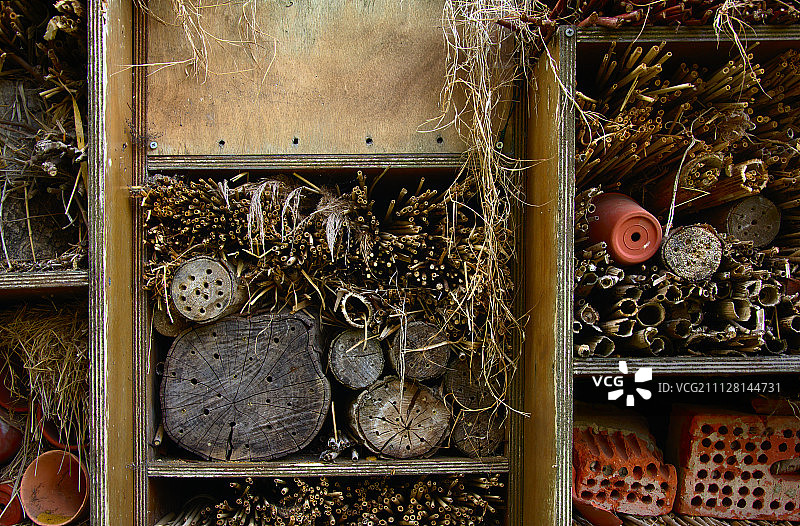 昆虫旅馆细节图片素材