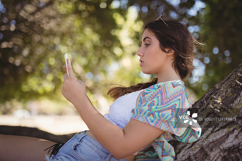 女子坐在树干上使用智能手机的侧视图图片素材