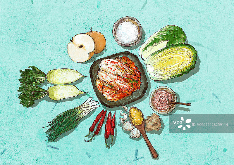 泡菜插画图片素材