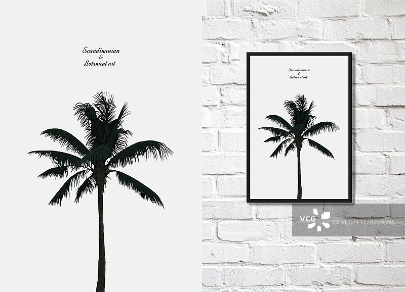 植物艺术室内设计图片素材