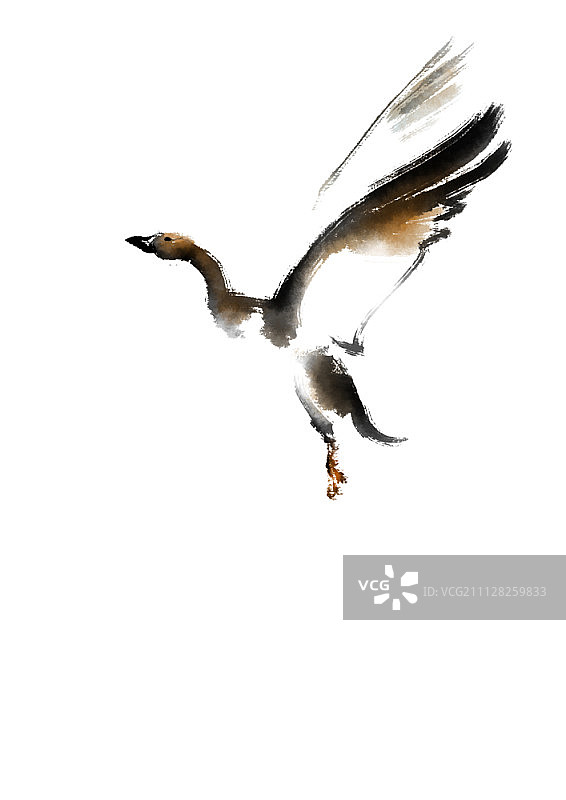 水墨画插图图片素材