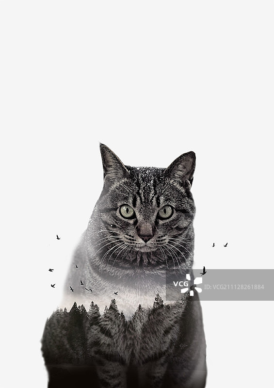 斯堪的纳维亚风格动物插画图片素材