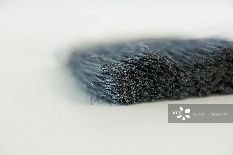 白色背景上的扁平油漆刷特写图片素材