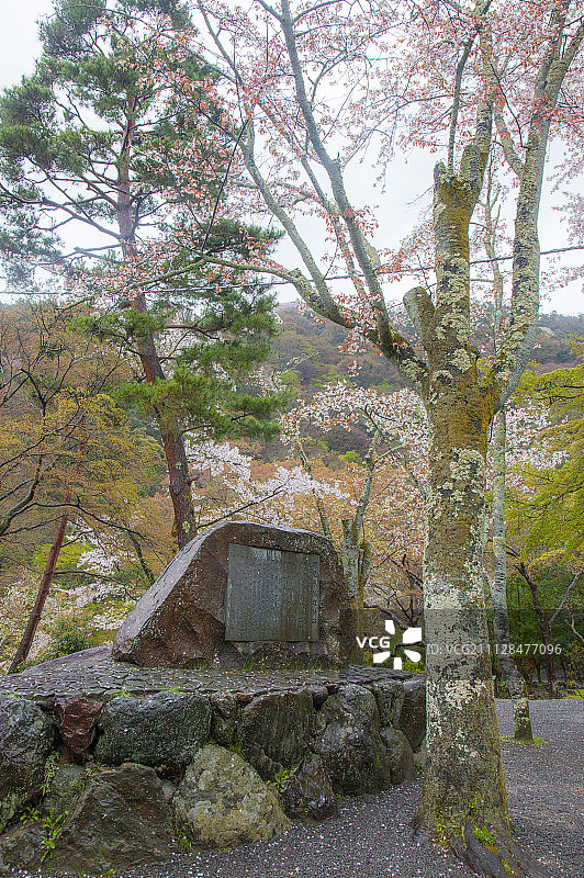 石碑,纪念碑,树图片素材