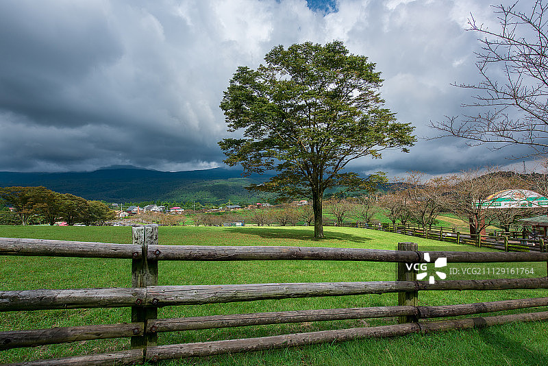 日本宫崎的牧场图片素材