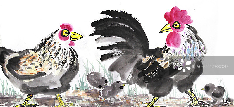 水墨画鸡一家人出去图片素材