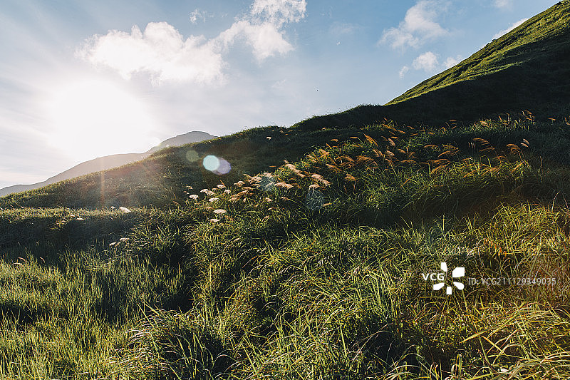 壮丽嵛山岛图片素材