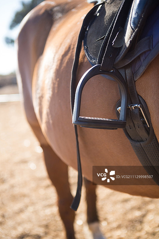 牧场马背上的马鞍特写图片素材
