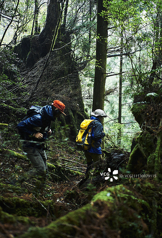 男性 男 男人图片素材