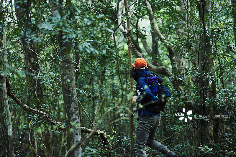 人 人物 人类图片素材