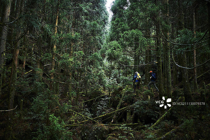 男性 男 男人图片素材