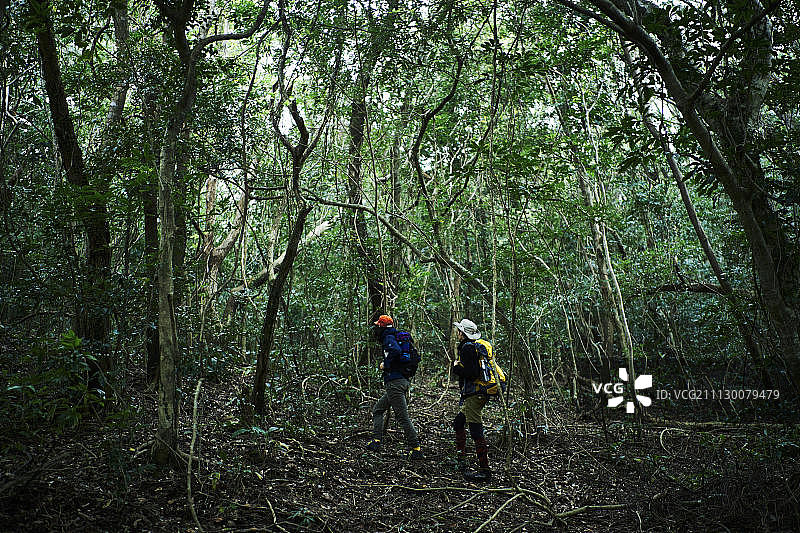 男性 男 男人图片素材