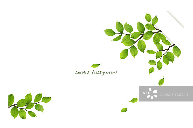叶子的背景图片素材