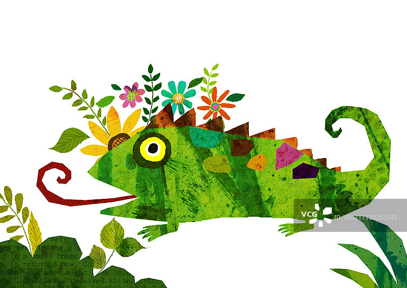 白色背景上的鲜花与蜥蜴图片素材