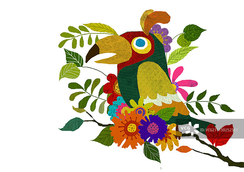 白色背景上的花卉鹦鹉图片素材