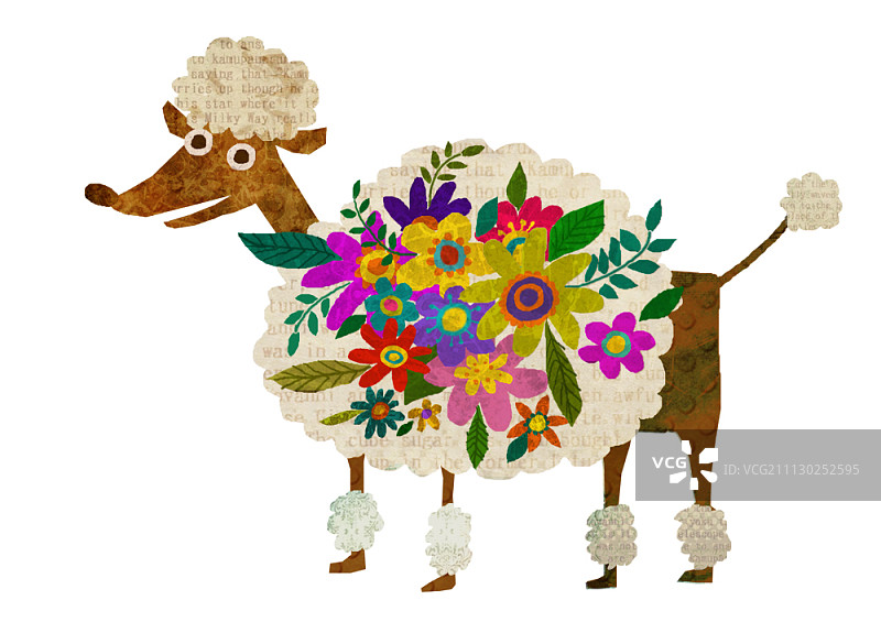 白色背景上戴着花的贵宾犬图片素材