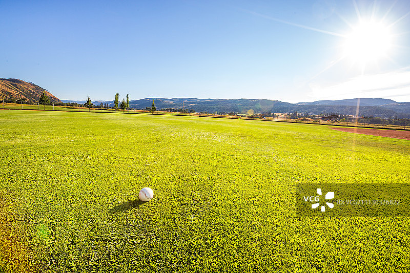 阳光绿茵场图片素材