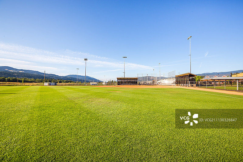 绿茵场图片素材