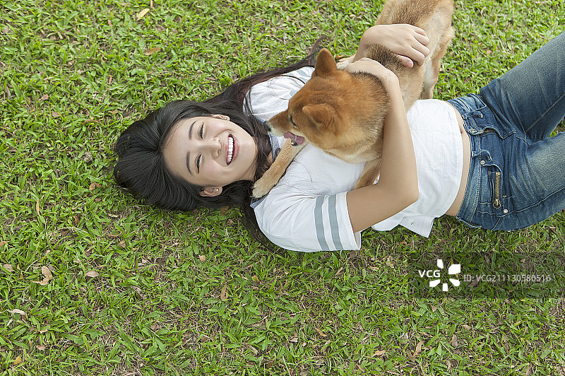 女性,柴犬图片素材