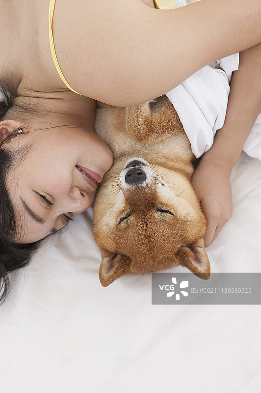 女性,柴犬图片素材