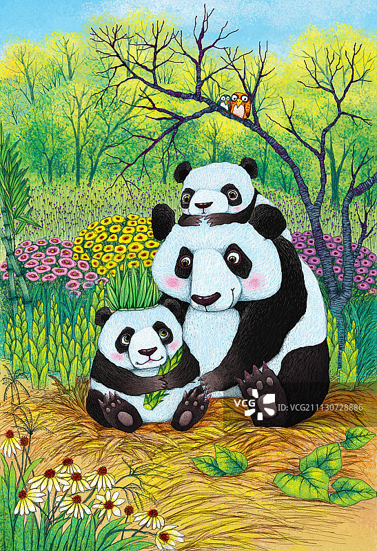 熊猫一家亲图片素材