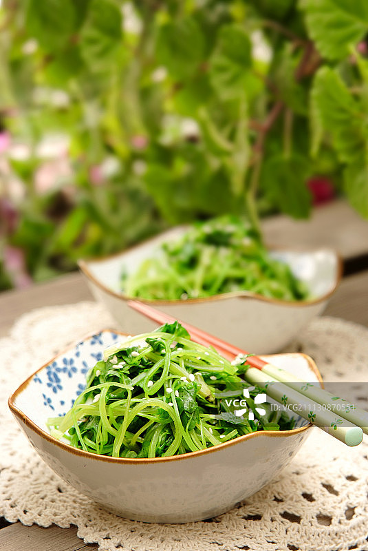 鸡毛菜图片素材